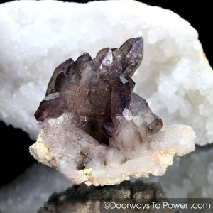 Melody Stone Super 7 Tantric Twin Record Keeper Crystal Cluster w/ Pleiadian Starbrary