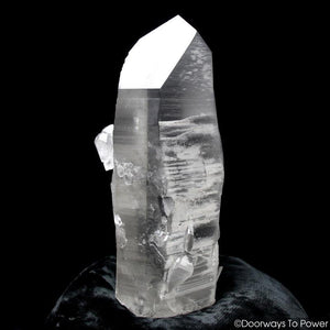 Black Lemurian Seed Phantom Quartz Record Keeper Crystal