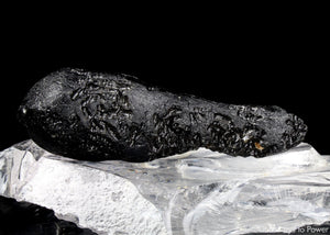 Tibetan Tektite Synergy 12 Stone