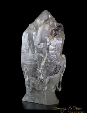 Citrine Lightbrary Buddha Crystal Sculpture