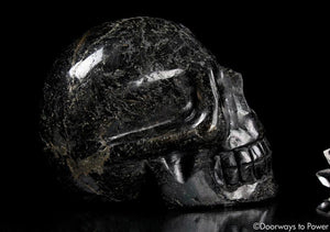 Ancient XL Nuummite Crystal Skull Rare 3 Billion Years Old