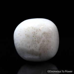 Scolecite Synergy 12 Stone Crystal