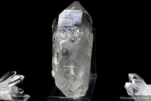 Himalayan Quartz Nirvana Crystal Record keeper