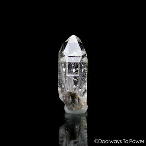 Brookite in Quartz Crystal Record Keepers & Rutiles Rare Synergy 12 Stone