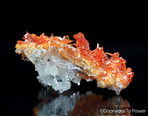 Zincite Crystal Cluster Specimen A+++ Collectors Quality