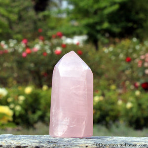 Rose Quartz John of God Channeling Casa Healing Crystal