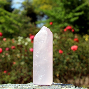 2.4" Rose Quartz John of God Channeling Crystal