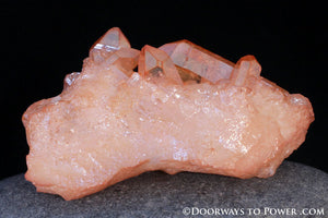 Imperial Gold Tangerine Aura Twin ISIS Pleiadian Starbrary Cluster