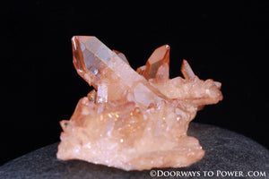 Imperial Gold Aura Pleiadian Starbrary Twin ISIS Crystal Cluster