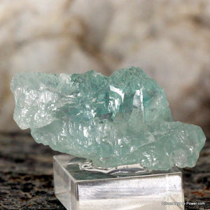 Aquamarine Crystal Specimen A ++ Collector Quality
