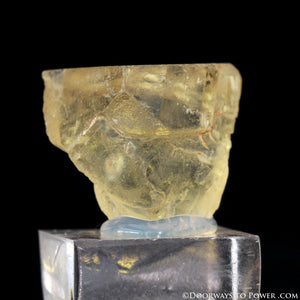 Royal Yellow SANIDINE Specimen Ultimate Abundance Crystal