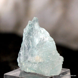 Stunning Aquamarine Crystal Specimen A ++ Collector Quality