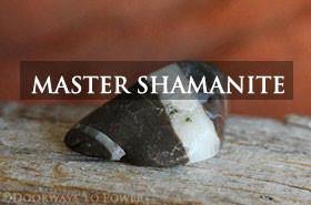 Master Shamanite