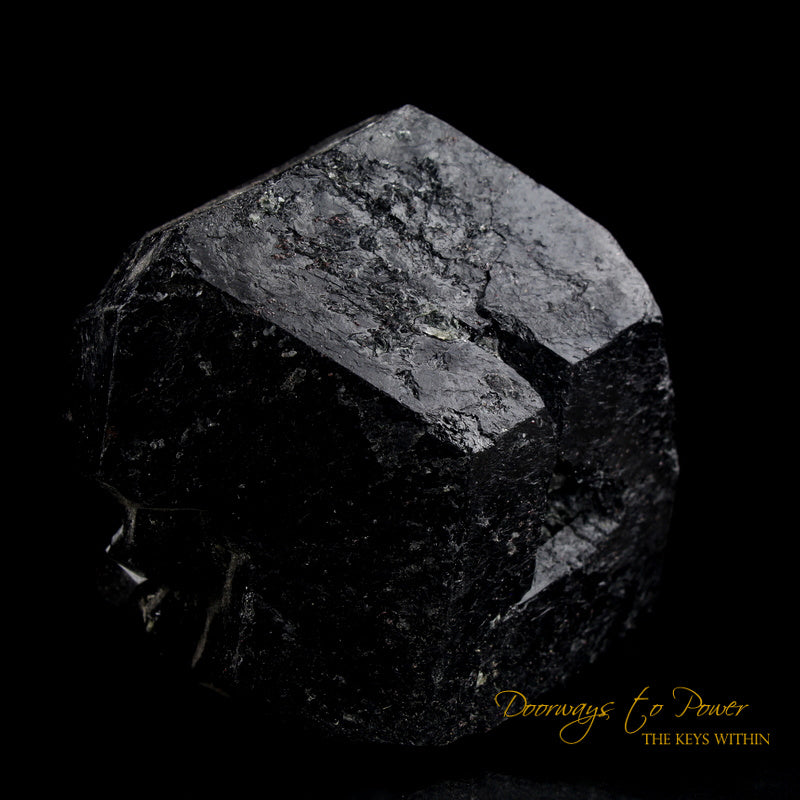 Black Tourmaline Etched Record Keeper Crystal Cannon 'Armor Grid' XL