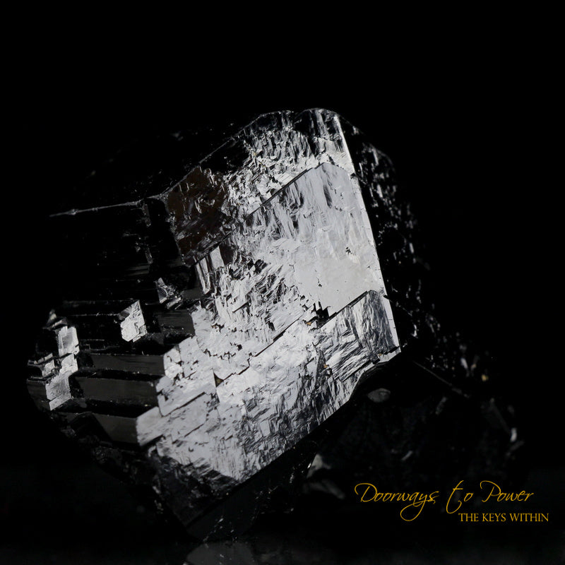Black Tourmaline Etched Record Keeper Crystal Cannon 'Armor Grid'
