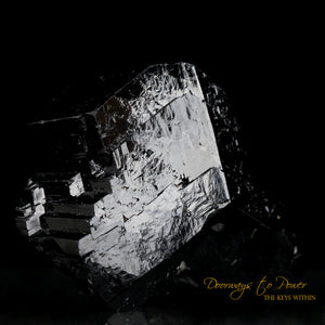 Black Tourmaline Etched Record Keeper Crystal Cannon 'Armor Grid'
