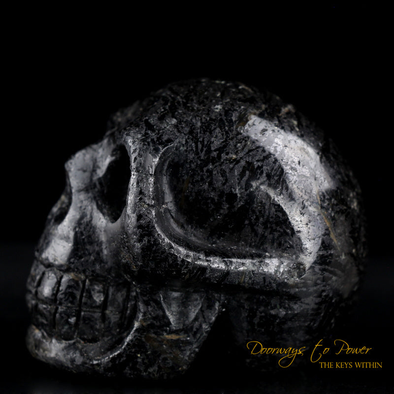 Nuummite Crystal Skull Ancient  Rare 3 Billion Years Old
