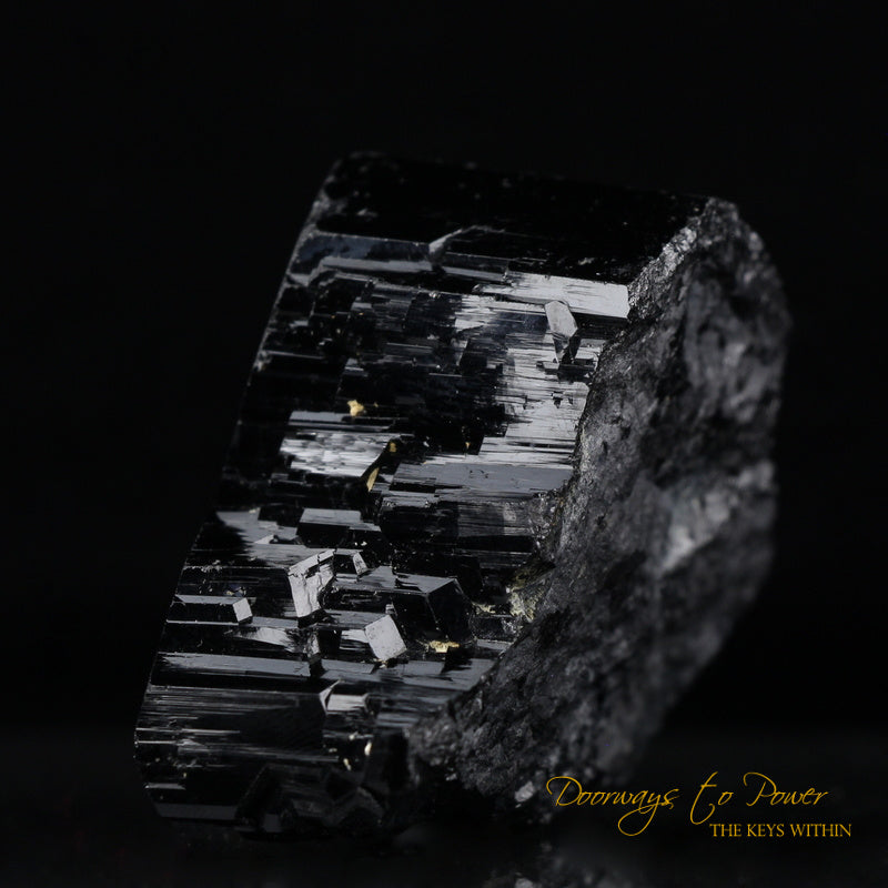 Black Tourmaline Etched Record Keeper Crystal Cannon 'Armor Grid'