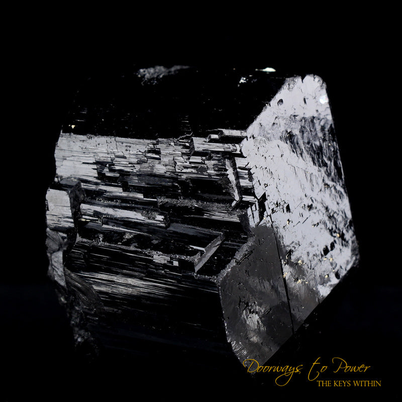 Black Tourmaline Etched Record Keeper Crystal Cannon 'Armor Grid'