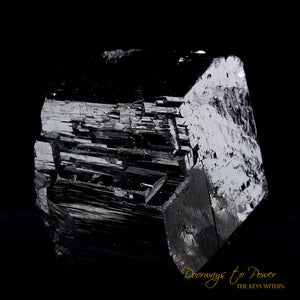 Black Tourmaline Etched Record Keeper Crystal Cannon 'Armor Grid'