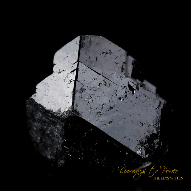 Black Tourmaline Etched Record Keeper Crystal Cannon 'Armor Grid'
