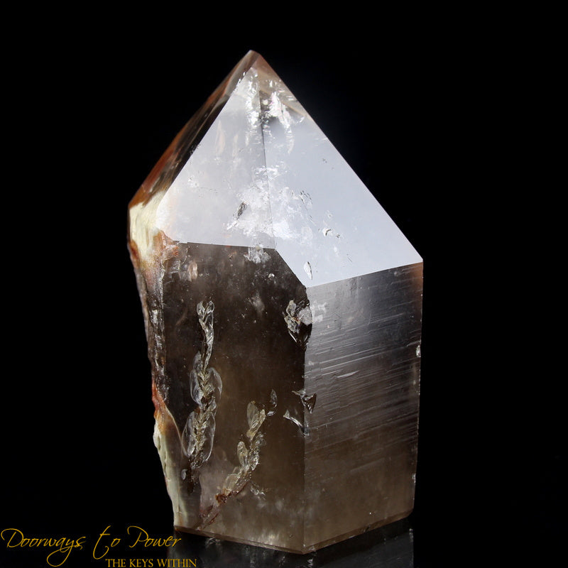 Angel Phantom Amphibole Quartz Crystal Point XL
