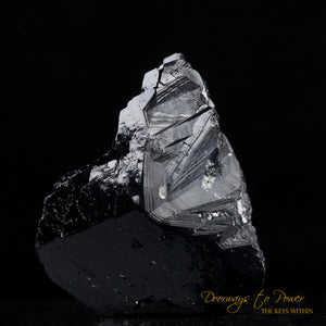 Black Tourmaline Etched Record Keeper Crystal Cannon 'Armor Grid'
