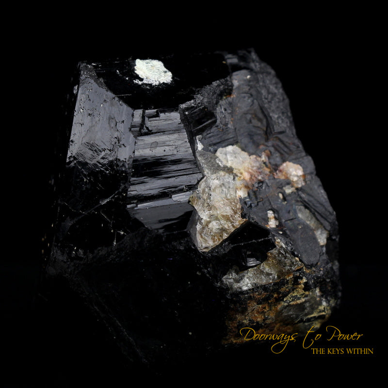 Black Tourmaline Etched Record Keeper Crystal Cannon 'Armor Grid'