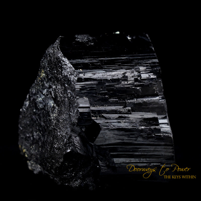 Black Tourmaline Etched Record Keeper Crystal Cannon 'Armor Grid'