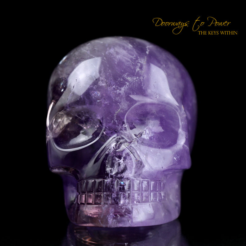 Leandro De Souza Amethyst Quartz Crystal Skull 'Duality'