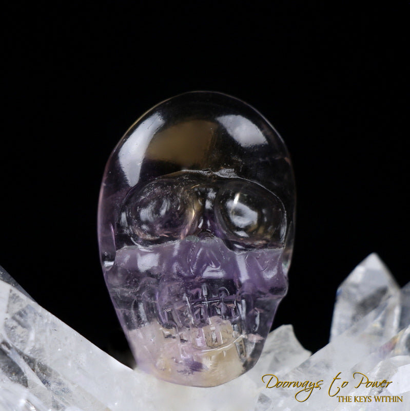 Ametrine Crystal Skull by Leandro De Souza