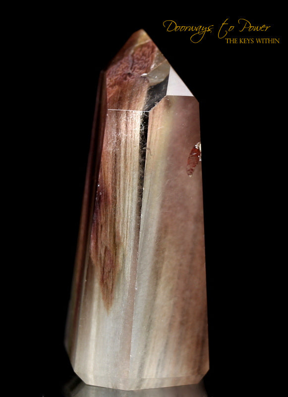 Angel Phantom Amphibole Manifestation Quartz Crystal Point