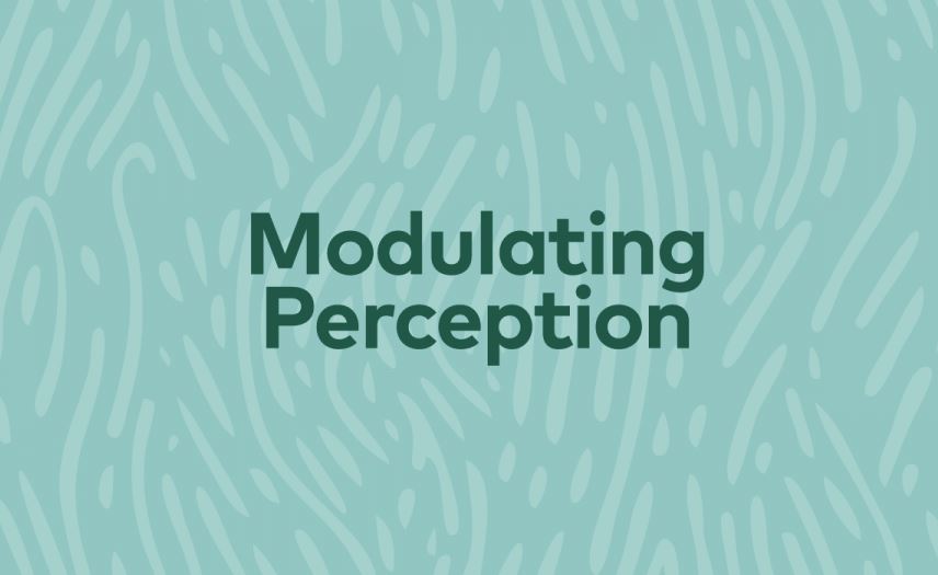 Aqua Serenity Andara Pendant 14k 'Atlantean Hologram' Ultra Rare 1995