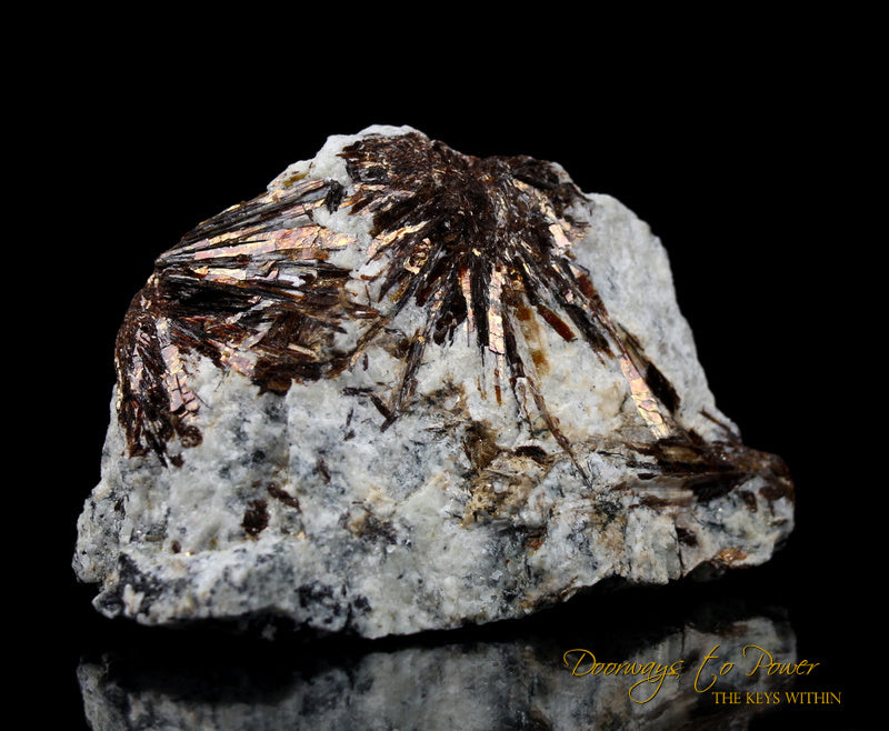 Astrophyllite Crystal Specimen