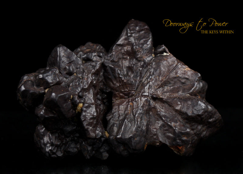 Azozeo Activated Prophecy Stone Crystal