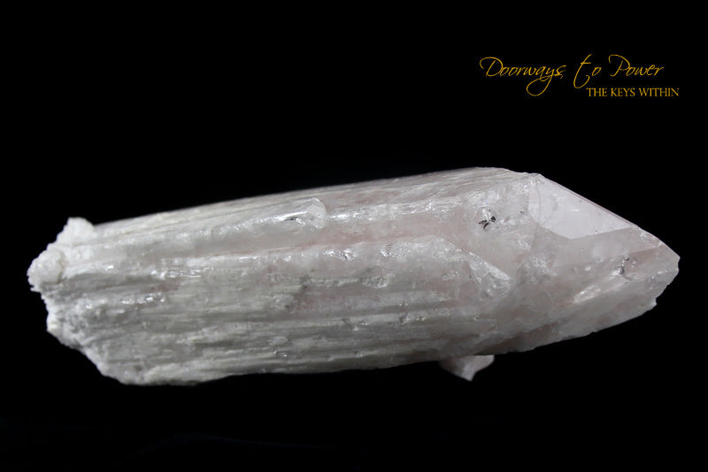 XL Danburite Synergy 12 Stone