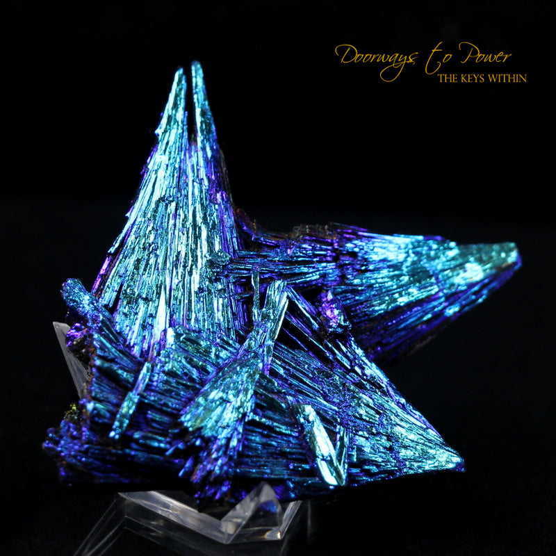 Black Kyanite Aura Angel Wing Crystal