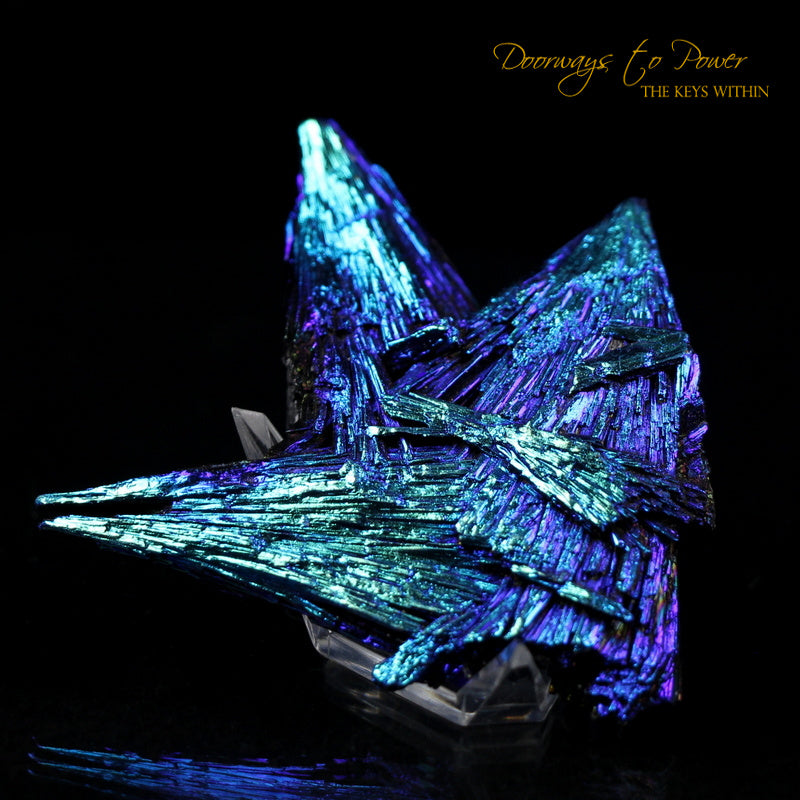 Black Kyanite Aura Angel Wing Crystal