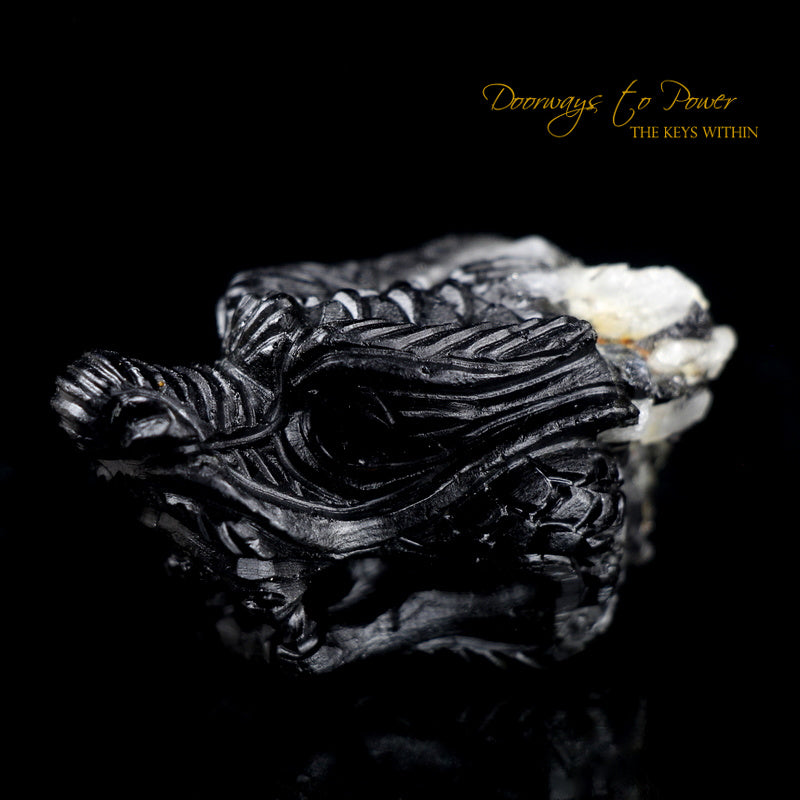 Black Tourmaline Dragon Crystal Carving "Energy Armor'