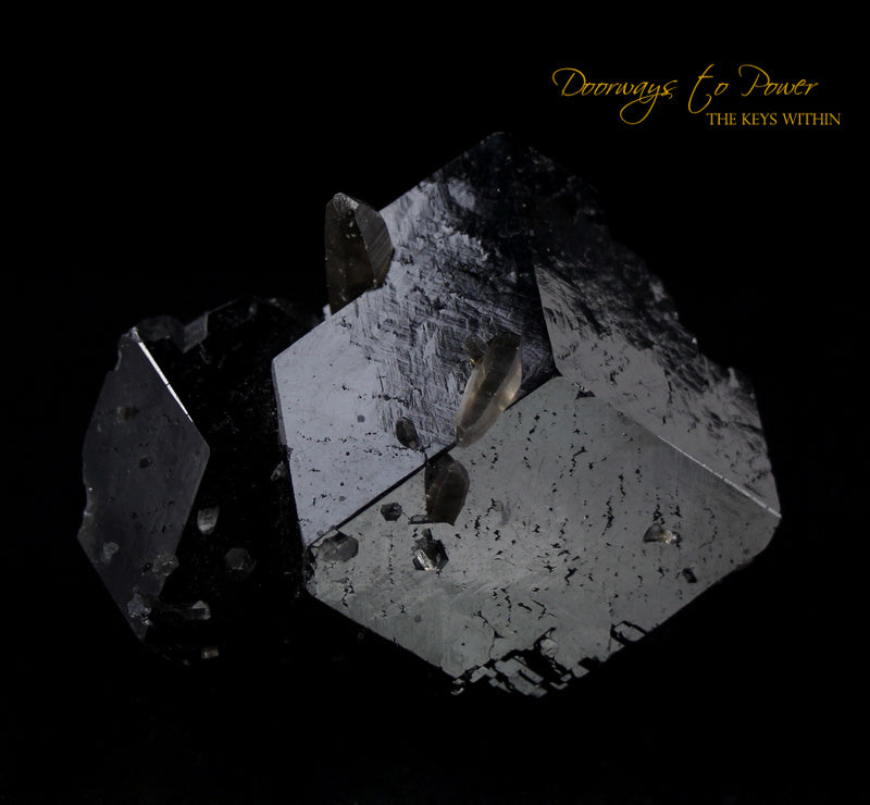 Black Tourmaline Etched Record Keeper Crystal Cannon 'Armor Grid'