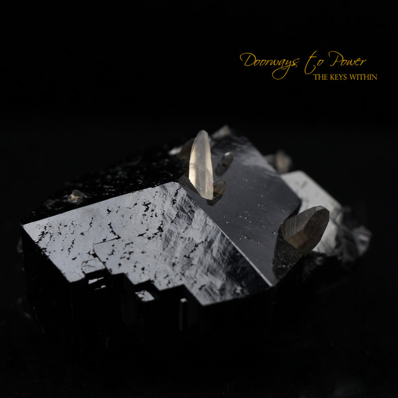 Black Tourmaline Etched Record Keeper Crystal Cannon 'Armor Grid'
