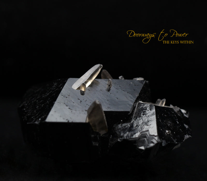 Black Tourmaline Crystal Specimen