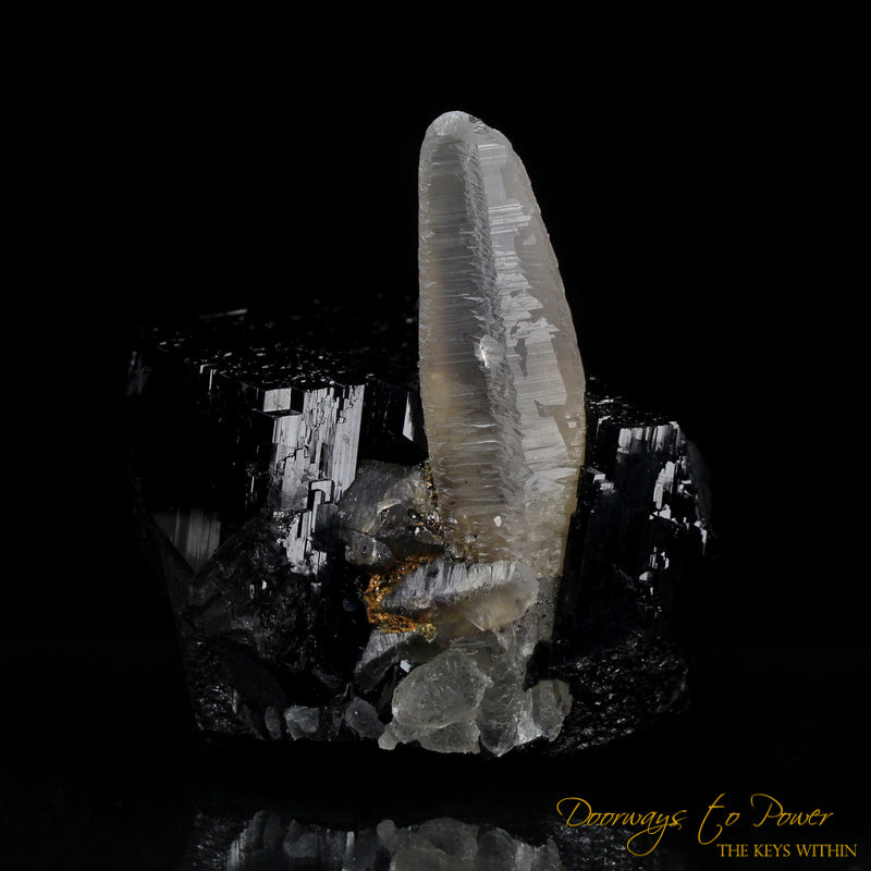 Black Tourmaline Etched Record Keeper Crystal with Smoky Quartz