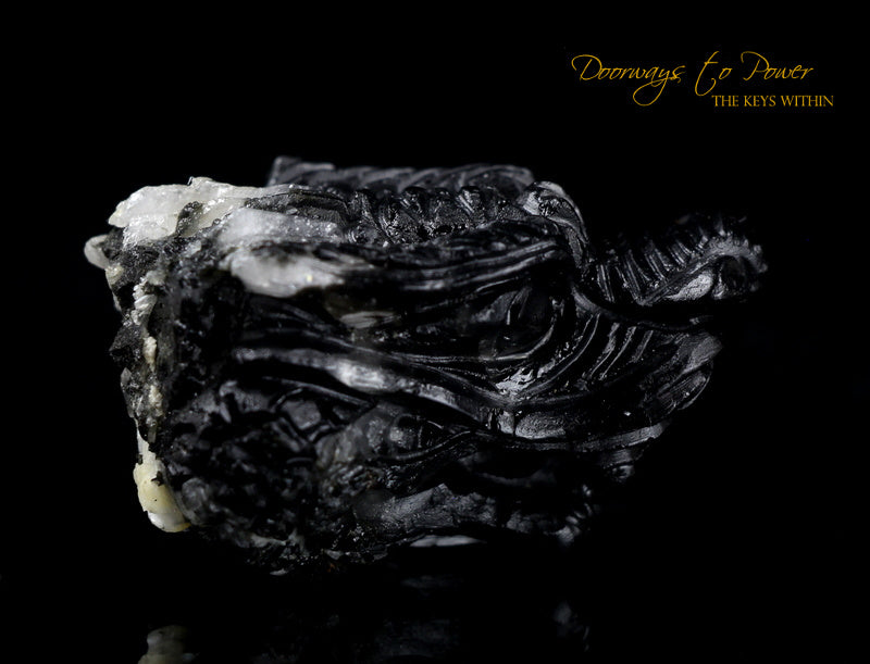 Black Tourmaline Dragon Crystal Carving "Energy Armor'
