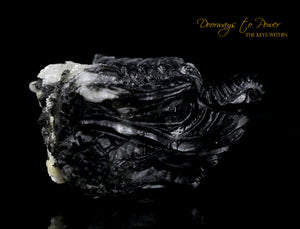 Black Tourmaline Dragon Crystal Carving "Energy Armor'