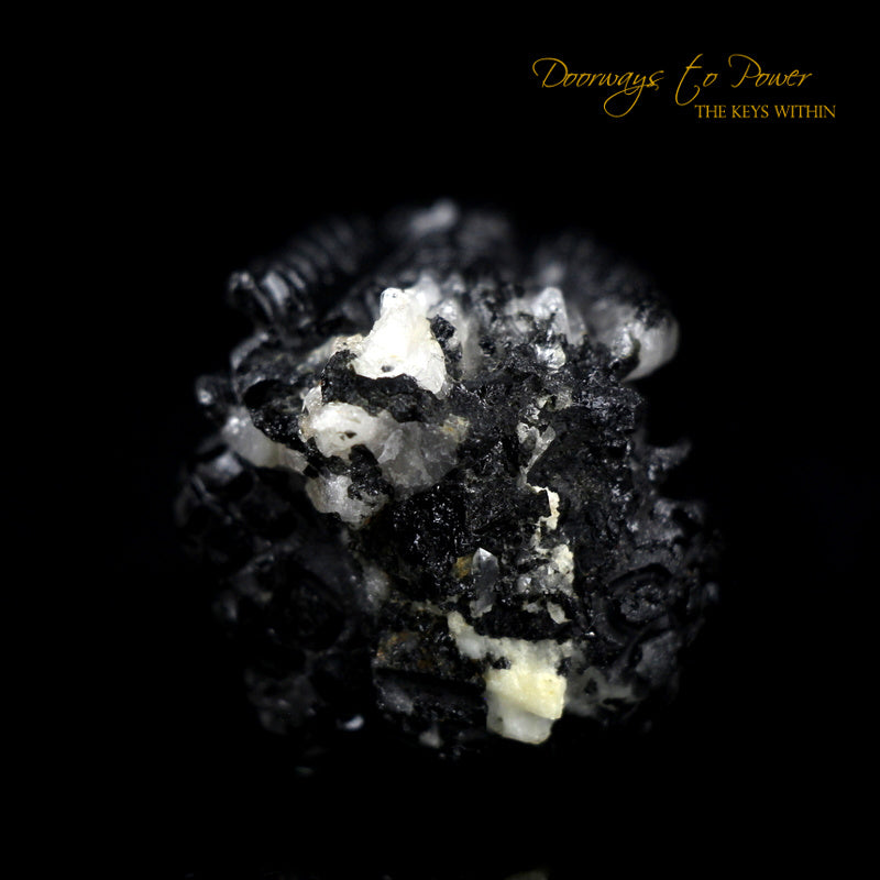 Black Tourmaline Dragon Crystal Carving "Energy Armor'