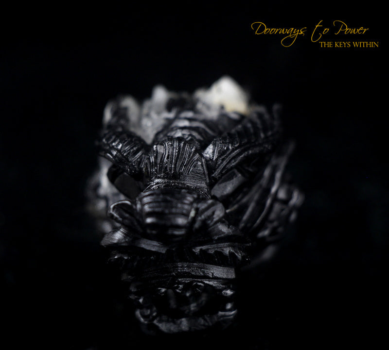 Black Tourmaline Dragon Crystal Carving "Energy Armor'