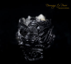 Black Tourmaline Dragon Crystal Carving "Energy Armor'