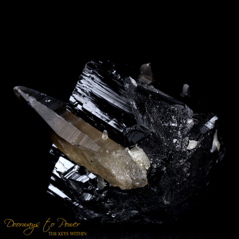 Black Tourmaline Etched Record Keeper Crystal with Smoky Quartz
