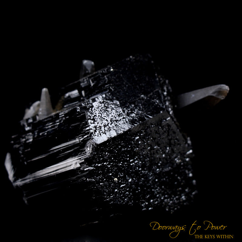 Black Tourmaline Etched Record Keeper Crystal with Smoky Quartz